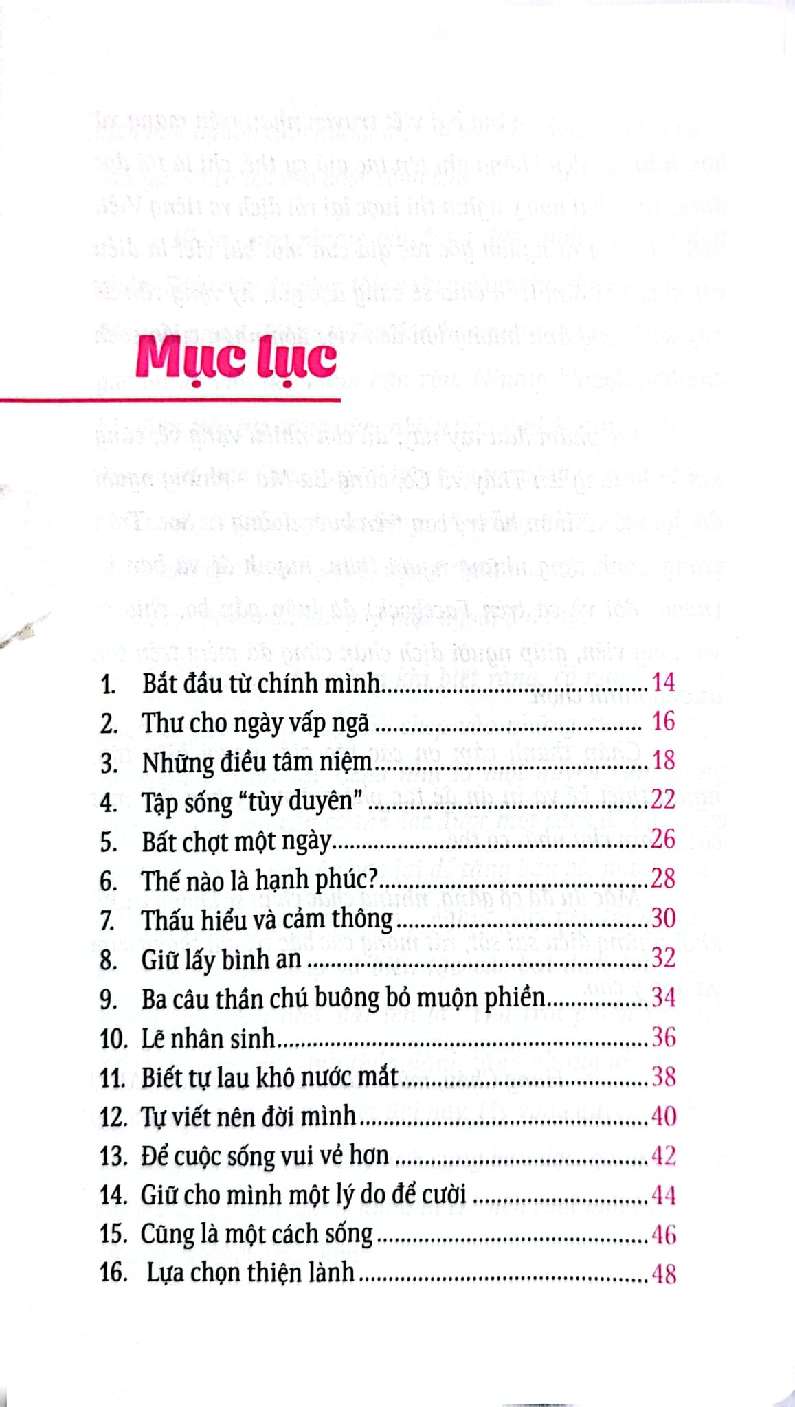 Bộ Sách Suối Thông (Bộ 3 Cuốn) - Suối Thông