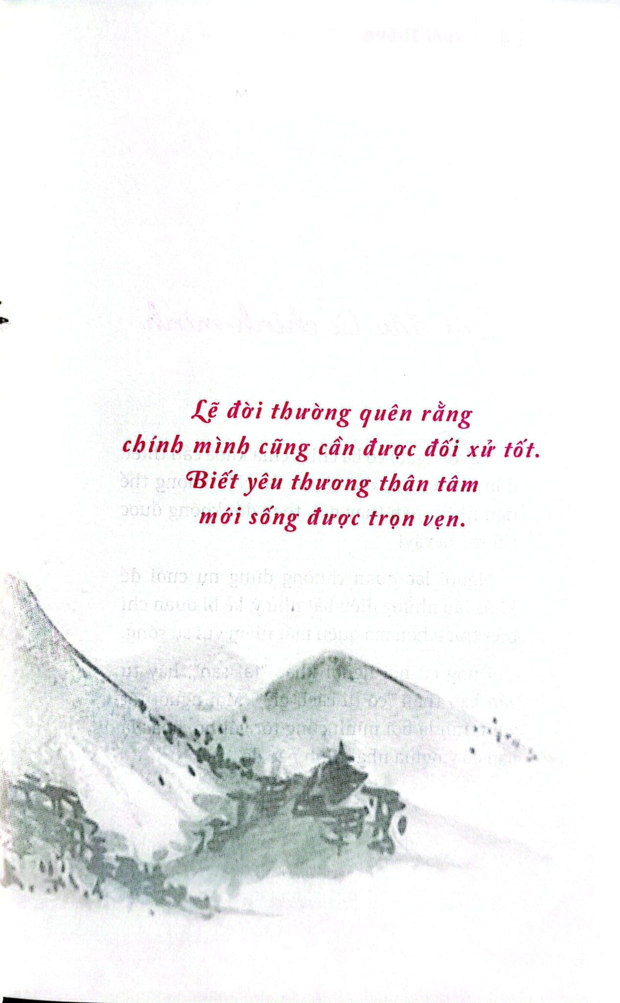 Bộ Sách Suối Thông (Bộ 3 Cuốn) - Suối Thông