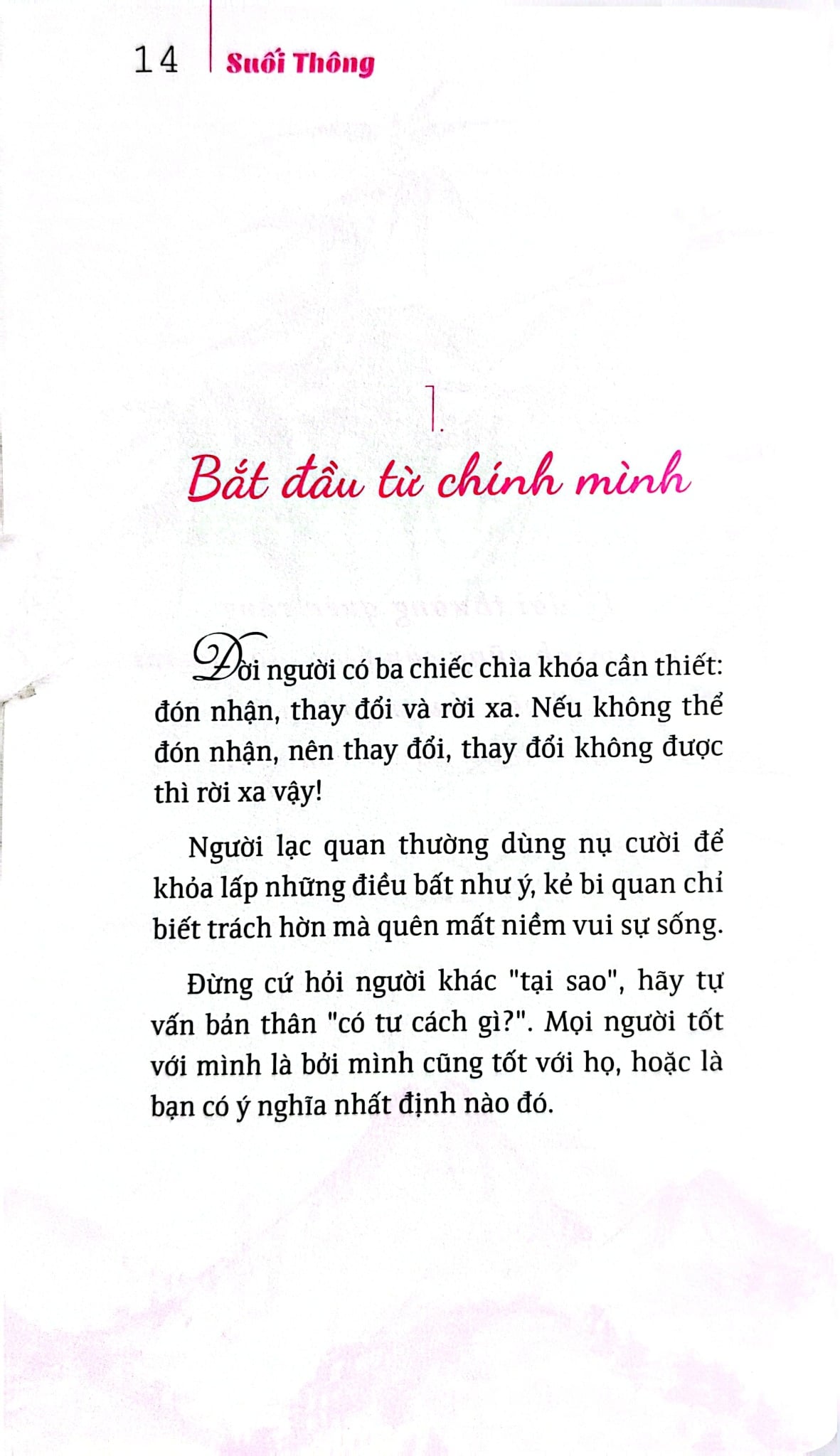 Bộ Sách Suối Thông (Bộ 3 Cuốn) - Suối Thông