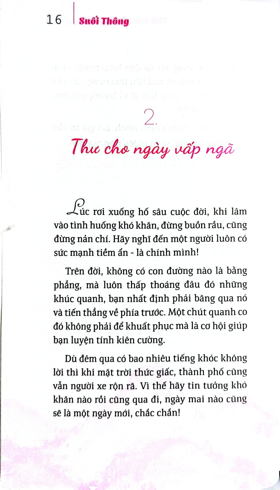 Bộ Sách Suối Thông (Bộ 3 Cuốn) - Suối Thông