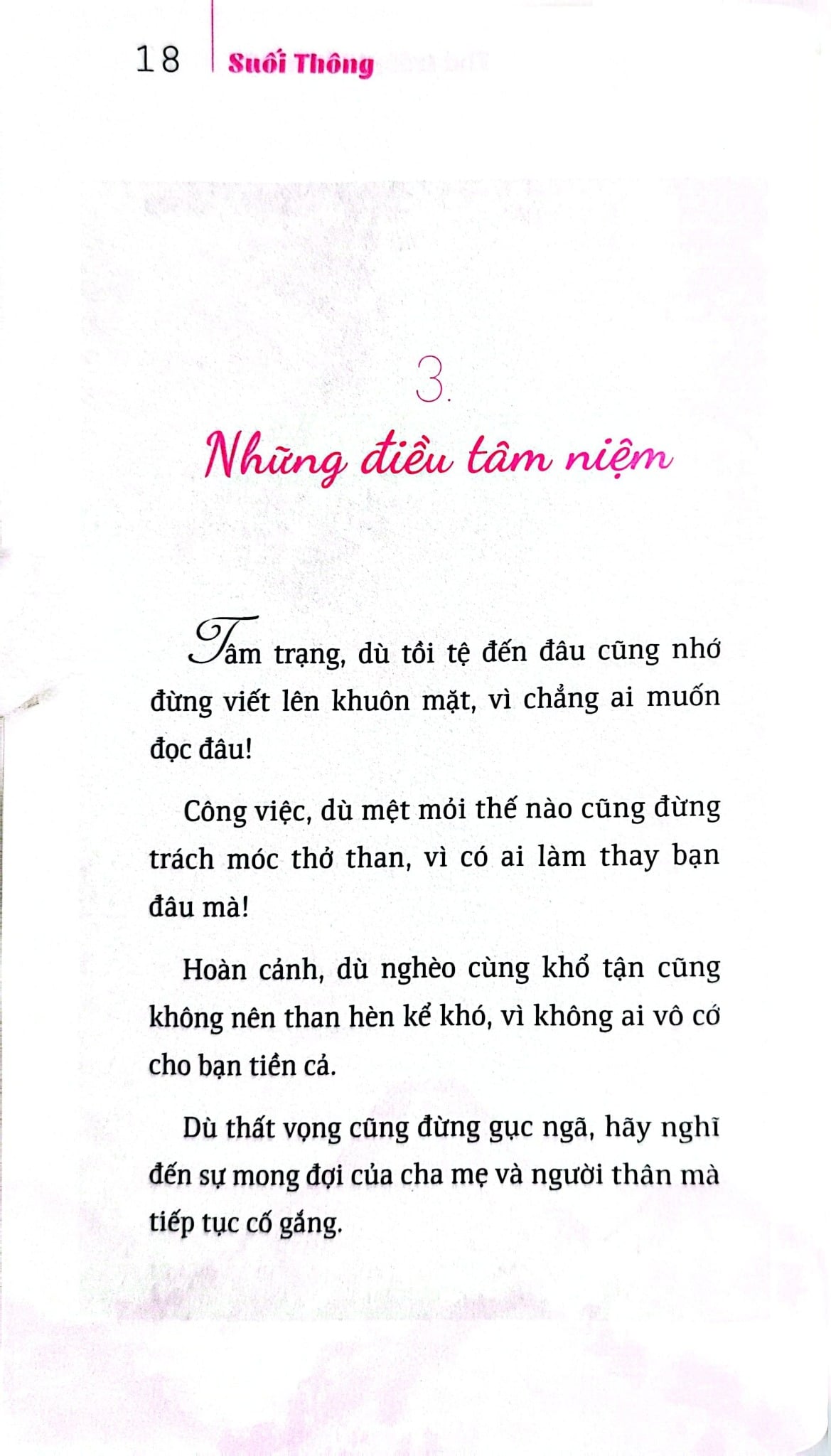 Bộ Sách Suối Thông (Bộ 3 Cuốn) - Suối Thông