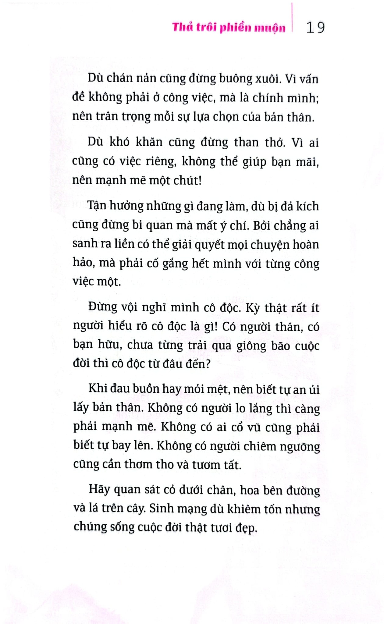Bộ Sách Suối Thông (Bộ 3 Cuốn) - Suối Thông