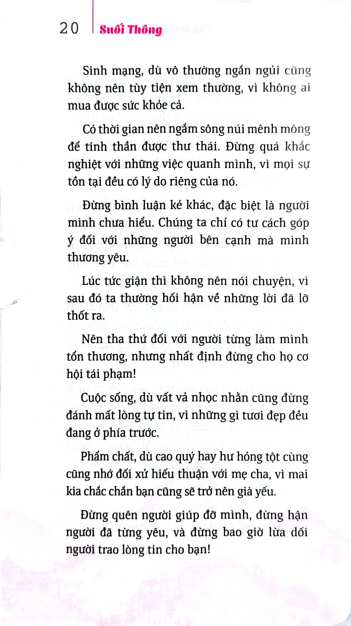 Bộ Sách Suối Thông (Bộ 3 Cuốn) - Suối Thông