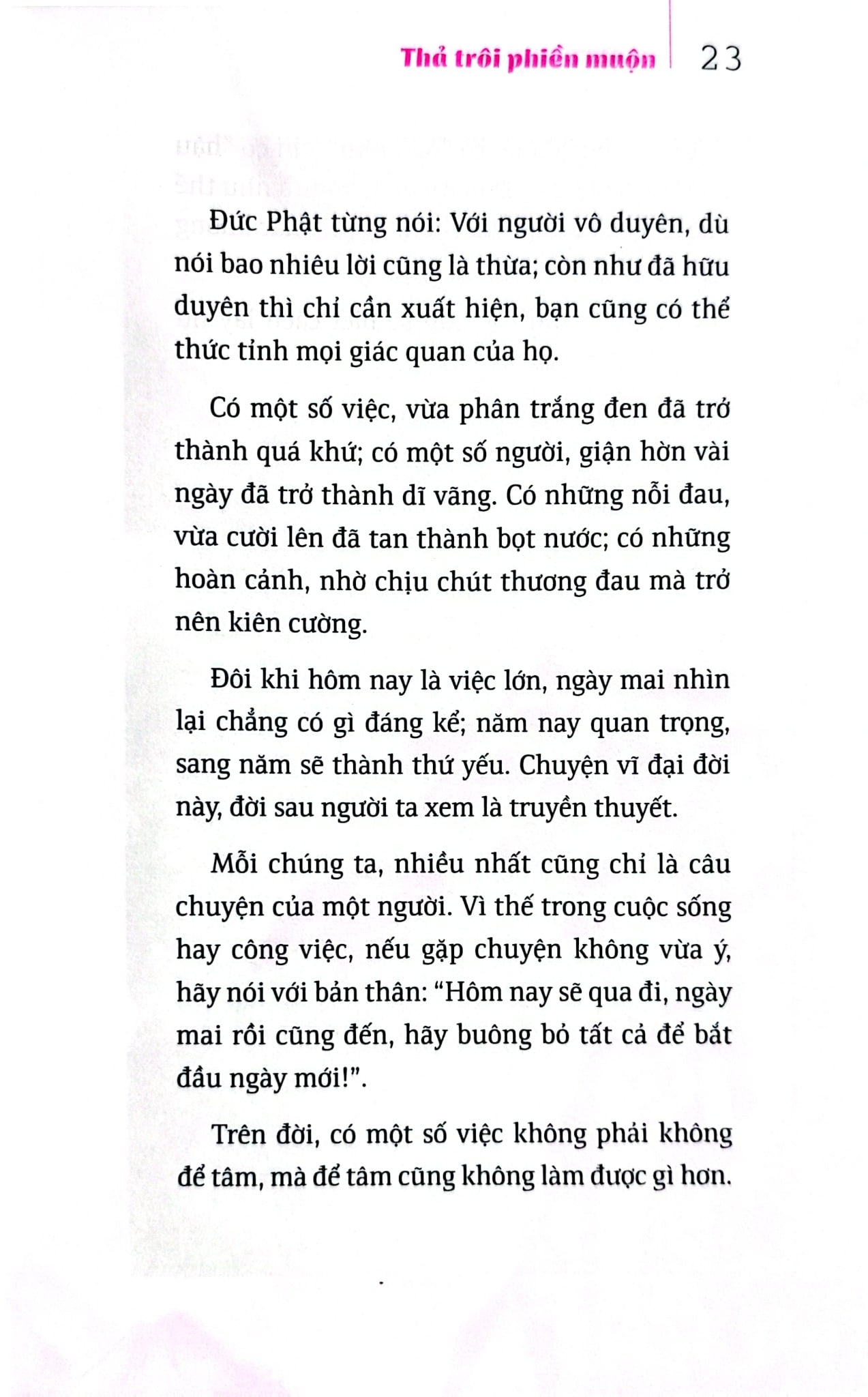Bộ Sách Suối Thông (Bộ 3 Cuốn) - Suối Thông