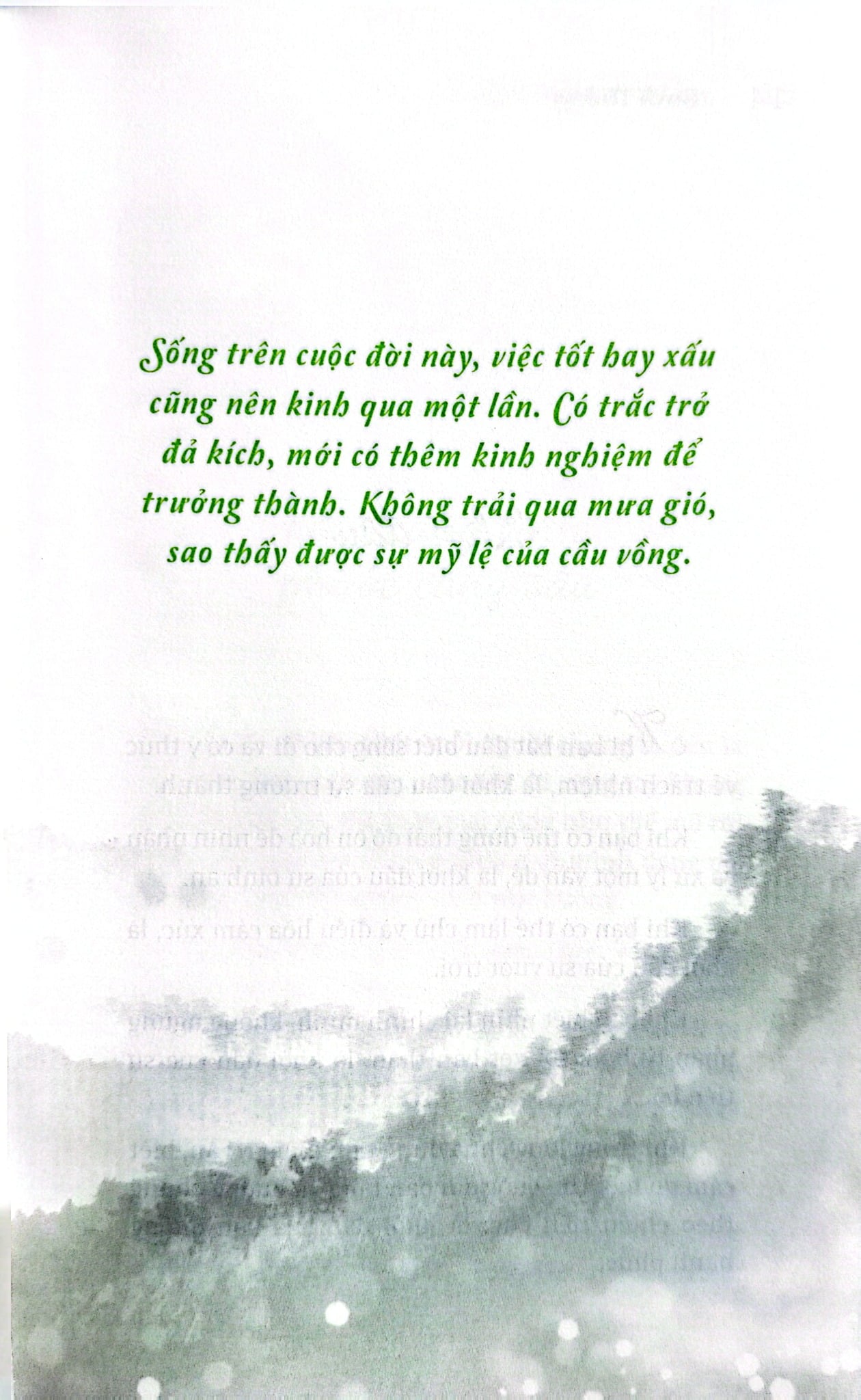 Bộ Sách Suối Thông (Bộ 3 Cuốn) - Suối Thông