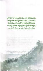Bộ Sách Suối Thông (Bộ 3 Cuốn) - Suối Thông