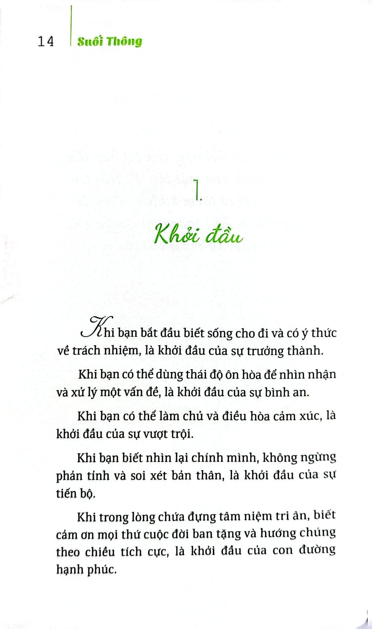 Bộ Sách Suối Thông (Bộ 3 Cuốn) - Suối Thông