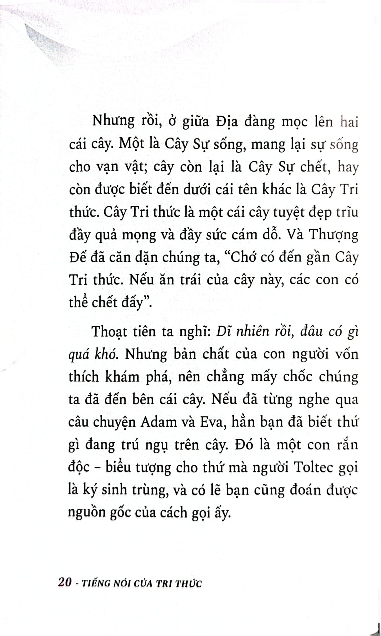 Bộ Sách 7 Cuốn Trí Tuệ Của Người Toltec ( Vòng Tròn Lửa + Bốn Thỏa Ước + Tiếng Nói Của Tri Thức + Thực Hành Bốn Thỏa Ước + Thỏa Ước Thứ Năm + Hành Trình Thấu Hiểu Bản Thân Và Tìm Thấy Tự Do + Những Chỉ Dẫn Để Làm Chủ Trái Tim )