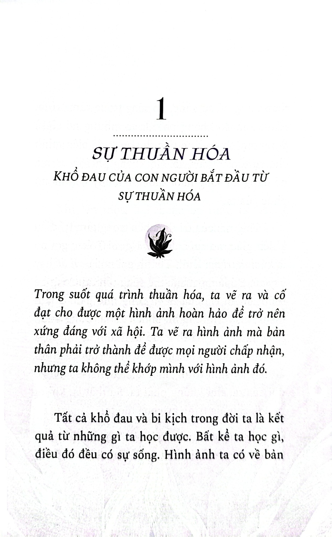 Bộ Sách 6 Cuốn Trí Tuệ Của Người Toltec ( Vòng Tròn Lửa + Bốn Thỏa Ước + Thực Hành Bốn Thỏa Ước +Thỏa Ước Thứ Năm + Hành Trình Thấu Hiểu Bản Thân Và Tìm Thấy Tự Do + Những Chỉ Dẫn Để Làm Chủ Trái Tim )
