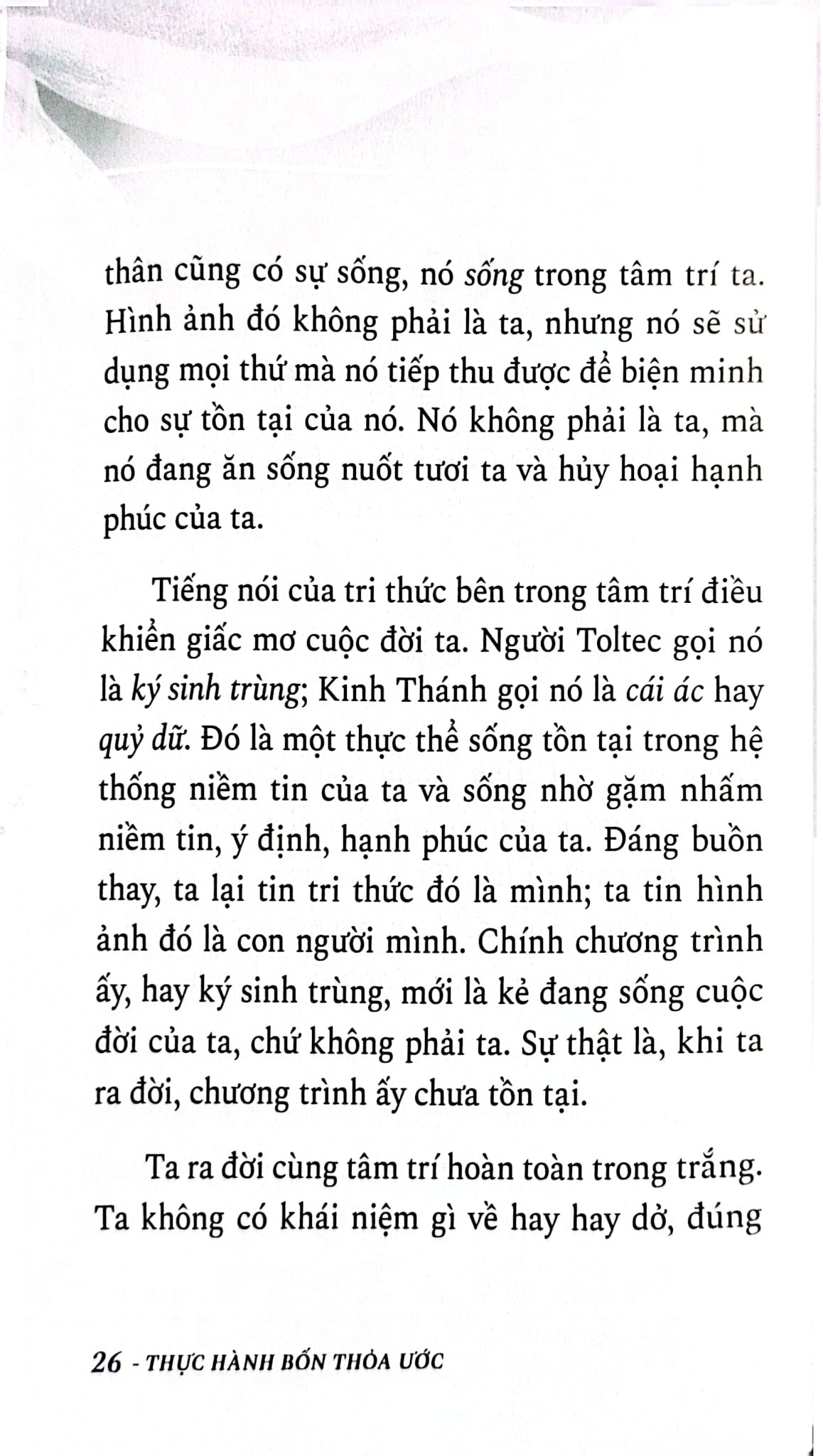 Bộ Sách 7 Cuốn Trí Tuệ Của Người Toltec ( Vòng Tròn Lửa + Bốn Thỏa Ước + Tiếng Nói Của Tri Thức + Thực Hành Bốn Thỏa Ước + Thỏa Ước Thứ Năm + Hành Trình Thấu Hiểu Bản Thân Và Tìm Thấy Tự Do + Những Chỉ Dẫn Để Làm Chủ Trái Tim )
