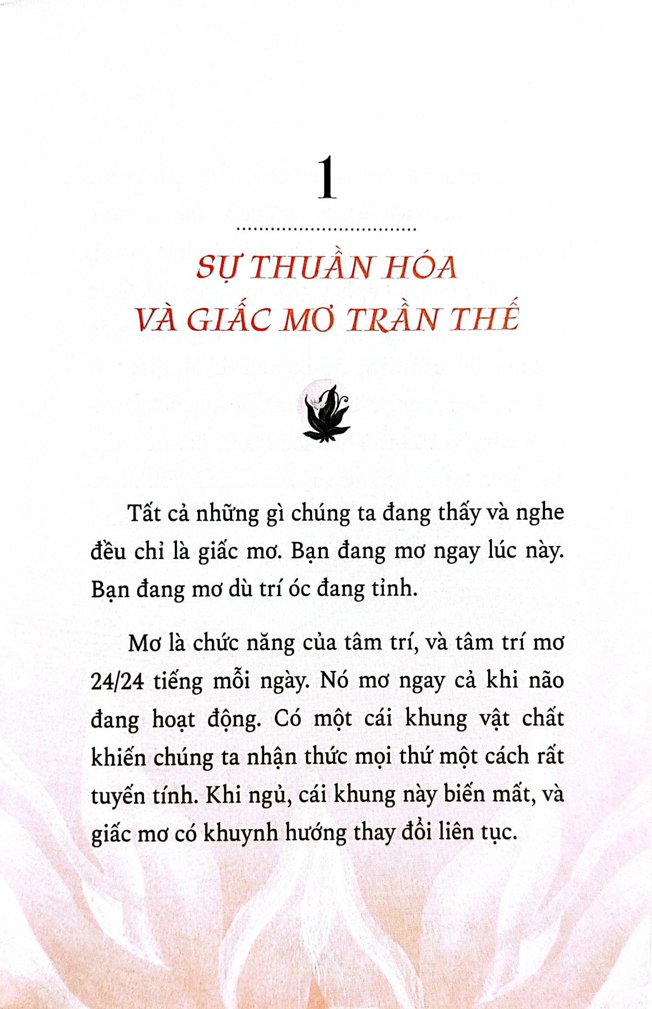 Combo 2 Quyển Bốn Thỏa Ước + Thực Hành Bốn Thỏa Ước - Janet Mills , don Miguel Ruiz