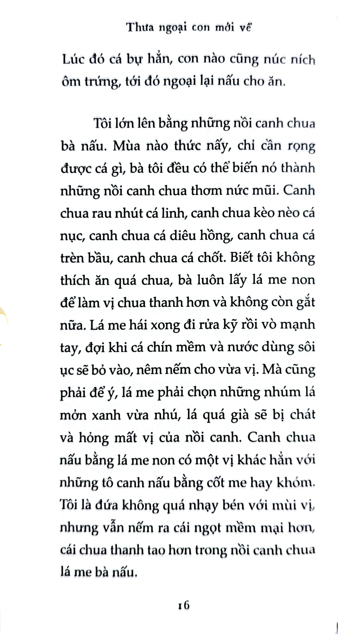 Thưa Ngoại Con Mới Về - Lam