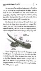 Trả Lại Tôi Bầu Khí Quyển Trong Lành - Trần Giang Sơn
