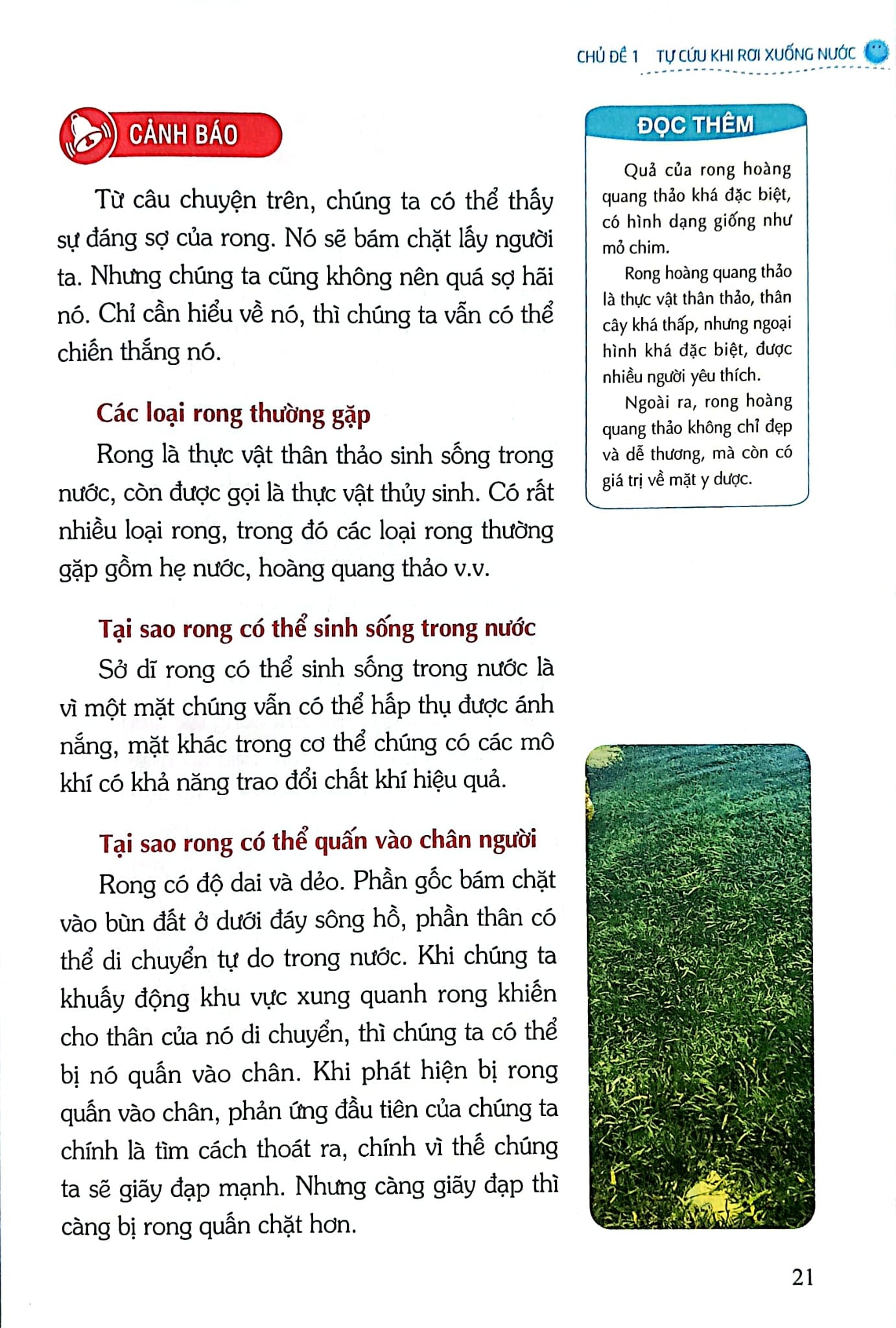 Kỹ Năng An Toàn Cho Học Sinh - Quyển 4 - Đào Hồng Lượng, Lý Đại Xuân; Trần Giang Sơn
