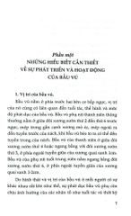 Chăm Sóc Và Bảo Vệ Bộ Ngực Phụ Nữ - Nguyễn Văn Đức - Bs Nông Thúy Ngọc