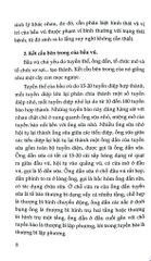 Chăm Sóc Và Bảo Vệ Bộ Ngực Phụ Nữ - Nguyễn Văn Đức - Bs Nông Thúy Ngọc