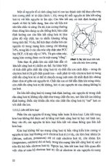 Giáo Trình Cơ Sở Vật Lí Bán Dẫn Và Linh Kiện - Nguyễn Văn Minh (Chủ biên) - Đỗ Danh Bích - Phạm Văn Hải