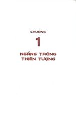 Lược Sử Khoa Học Và Kĩ Thuật Việt Nam Tiền Hiện Đại - Bìa Mềm - Nhiều Tác Giả