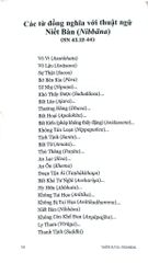 Bình Giảng Tương Ưng Bộ Kinh - 
Gil Fronsdal