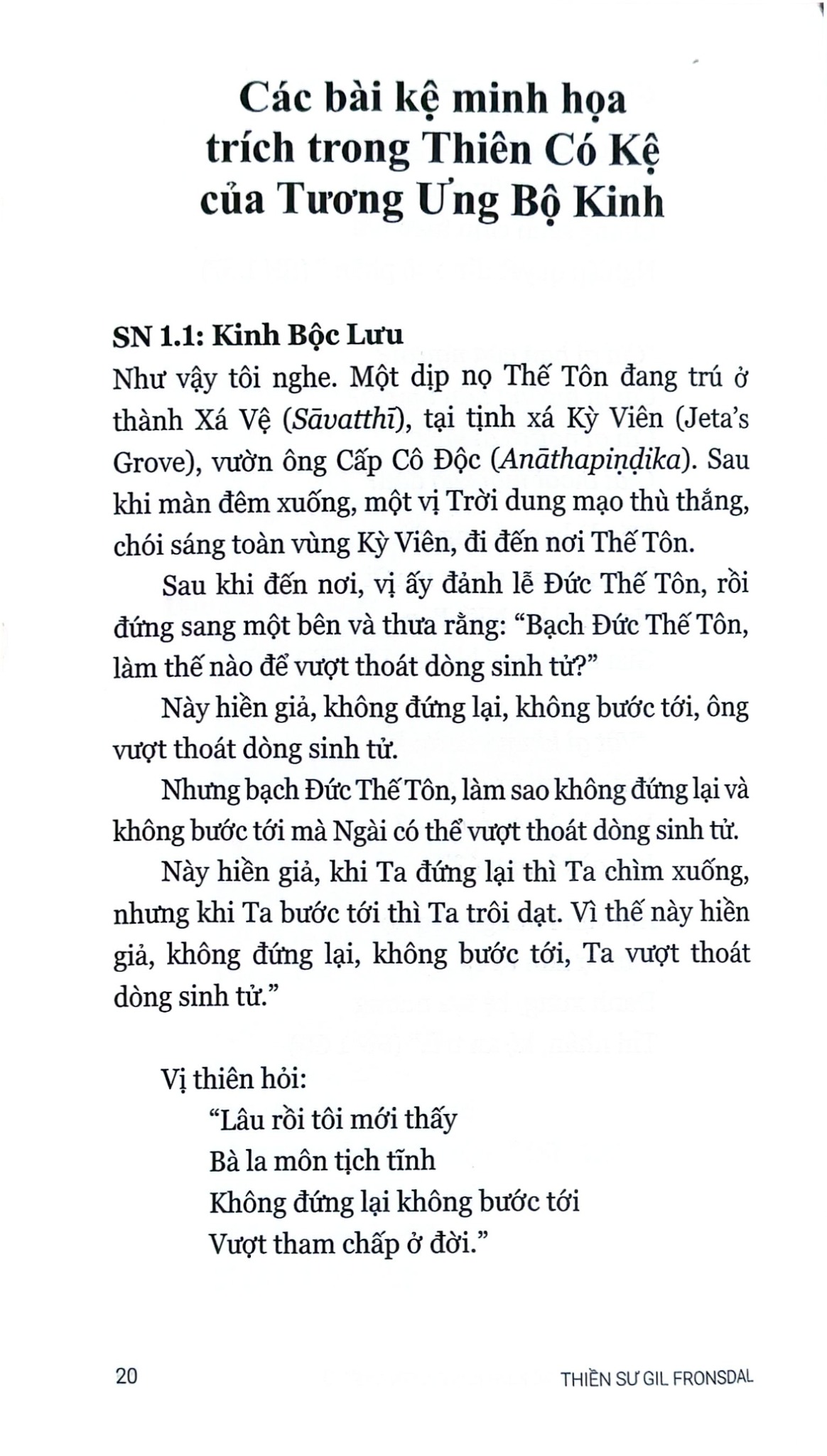 Bình Giảng Tương Ưng Bộ Kinh - 
Gil Fronsdal