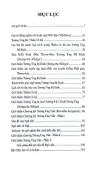 Bình Giảng Tương Ưng Bộ Kinh - 
Gil Fronsdal