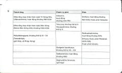 Triết Học Phật Giáo Ấn Độ - Amber Carpente