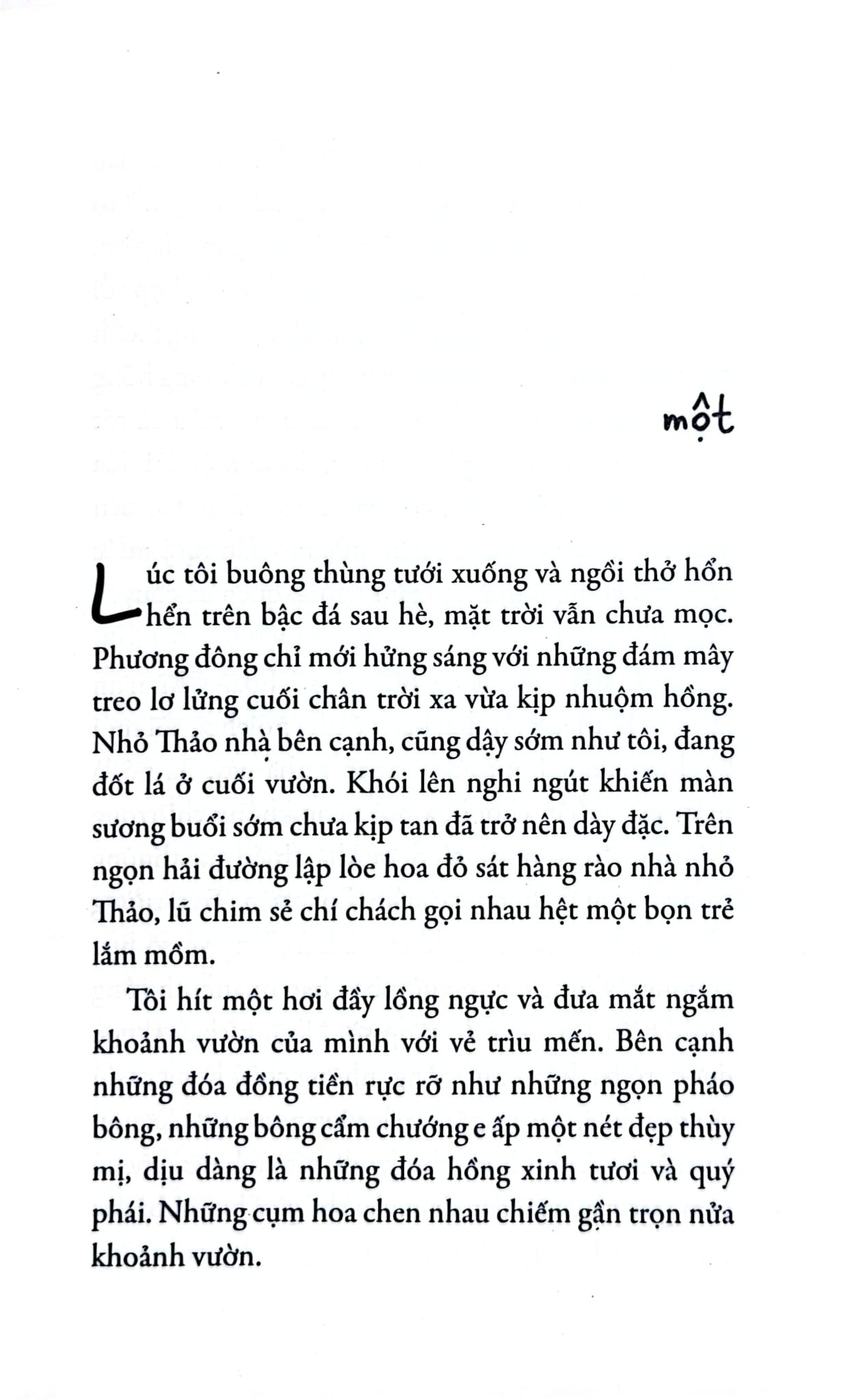 Thời Thơ Ấu Dài Lâu - Nguyễn Nhật Ánh - Boxset 24 Cuốn - Phiên Bản Tươi Mới - Nguyễn Nhật Ánh
