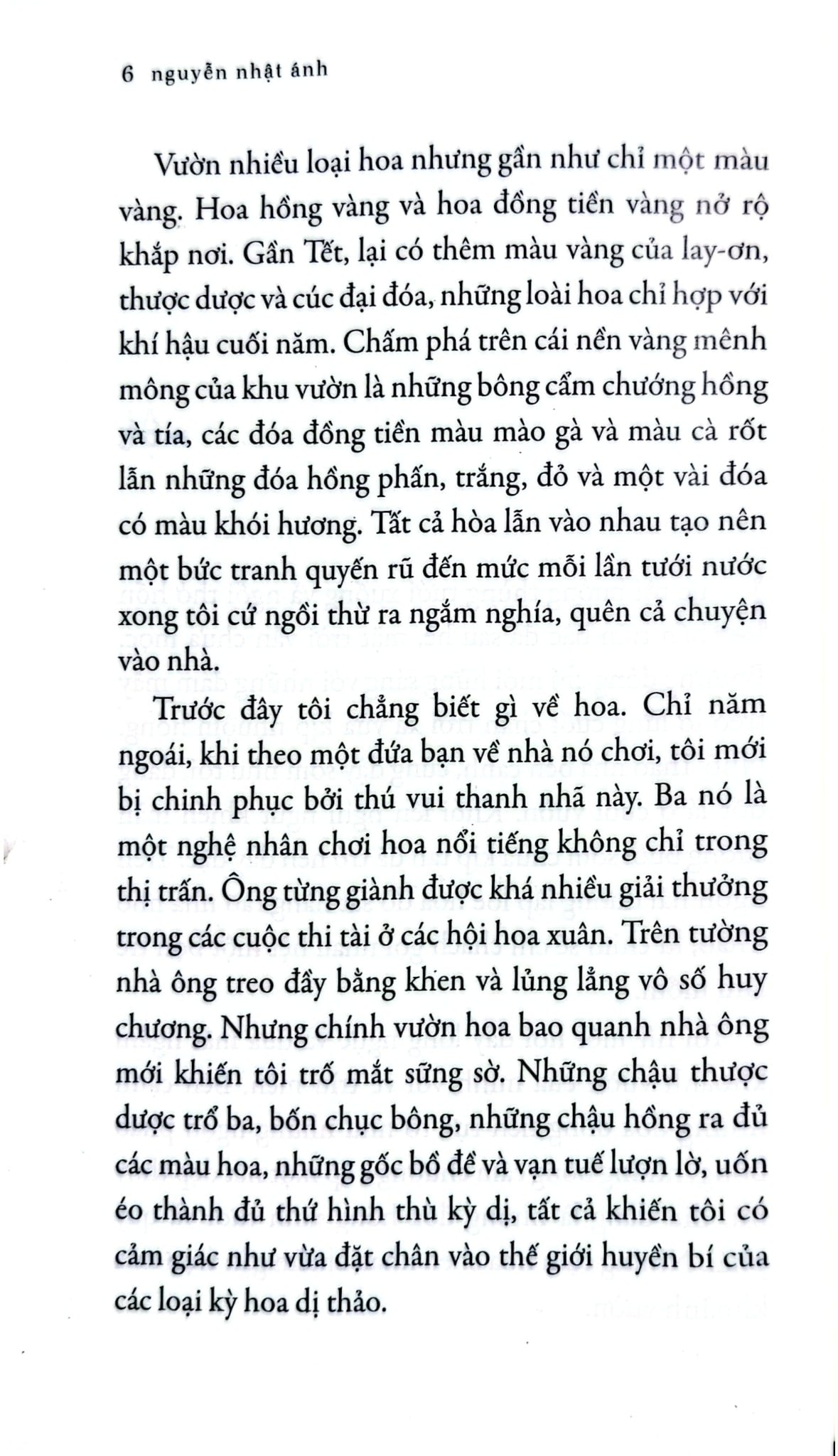 Thời Thơ Ấu Dài Lâu - Nguyễn Nhật Ánh - Boxset 24 Cuốn - Phiên Bản Tươi Mới - Nguyễn Nhật Ánh