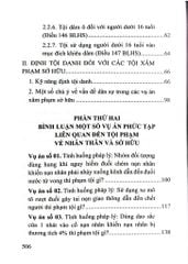 Định Tội Danh Các Tội Phạm Nhân Thân Sở Hữu Trong Luật Hình Sự - Một Số Vấn Đề Lý Luận Và Thực Tiễn (Sách Chuyên Khảo) - Nhiều Tác Giả