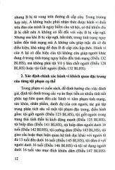 Định Tội Danh Các Tội Phạm Nhân Thân Sở Hữu Trong Luật Hình Sự - Một Số Vấn Đề Lý Luận Và Thực Tiễn (Sách Chuyên Khảo) - Nhiều Tác Giả