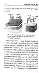 Ngôi Nhà Tiết Kiệm Năng Lượng - Nhiều Tác Giả