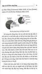 Ngôi Nhà Tiết Kiệm Năng Lượng - Nhiều Tác Giả