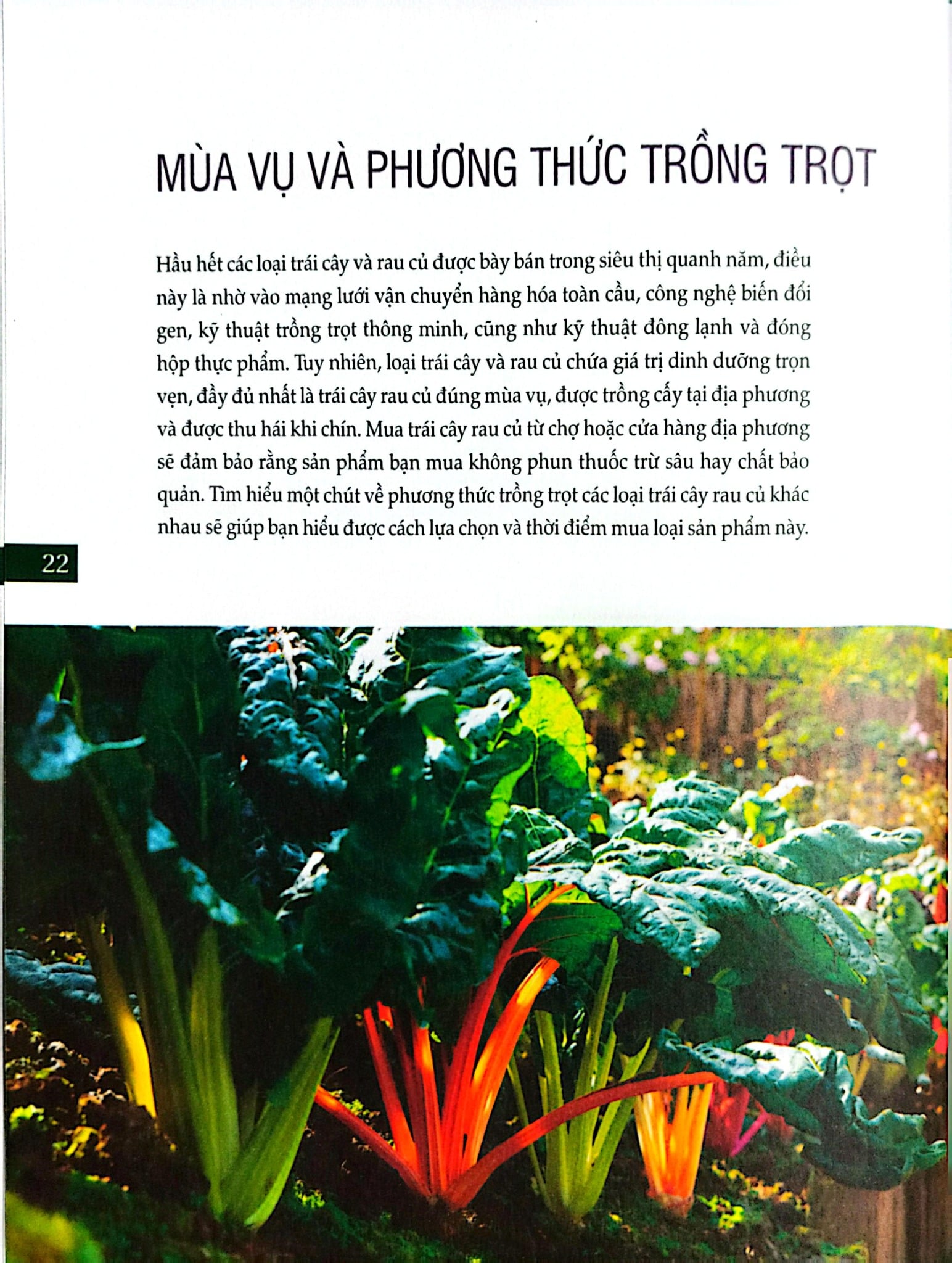 Bách Khoa Về Trái Cây Và Rau Củ (Sách In Màu; Bìa Cứng) - Nhiều Tác Giả