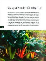Bách Khoa Về Trái Cây Và Rau Củ (Sách In Màu; Bìa Cứng) - Nhiều Tác Giả