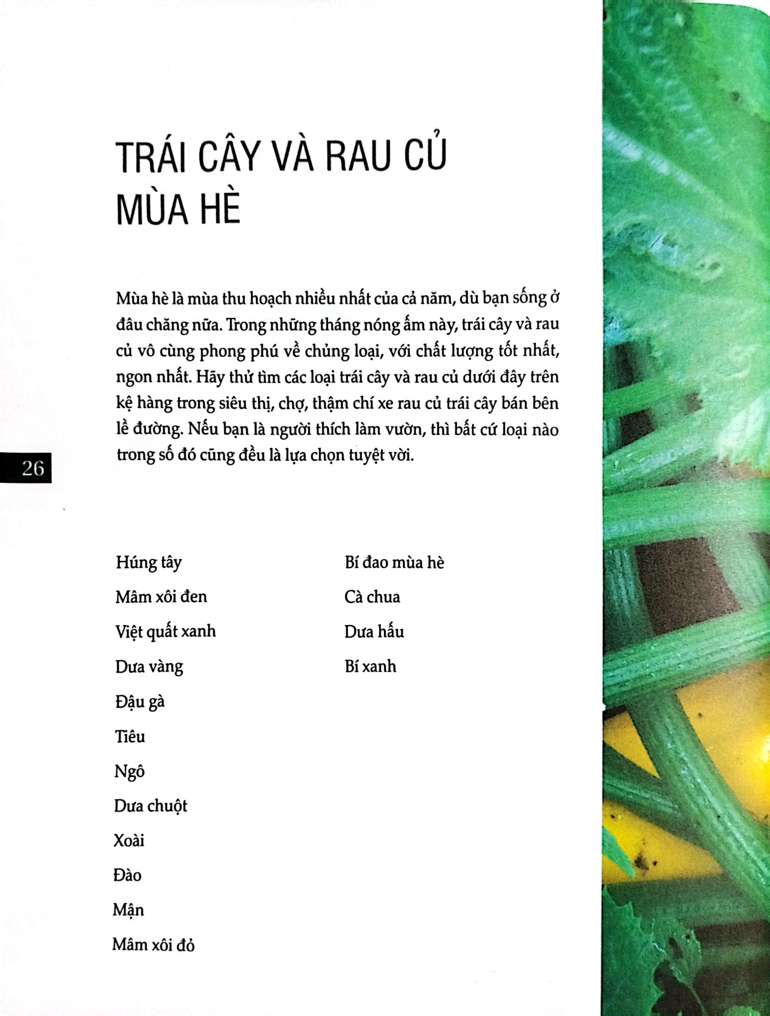 Bách Khoa Về Trái Cây Và Rau Củ (Sách In Màu; Bìa Cứng) - Nhiều Tác Giả