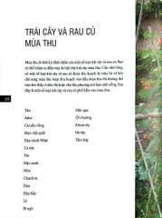 Bách Khoa Về Trái Cây Và Rau Củ (Sách In Màu; Bìa Cứng) - Nhiều Tác Giả