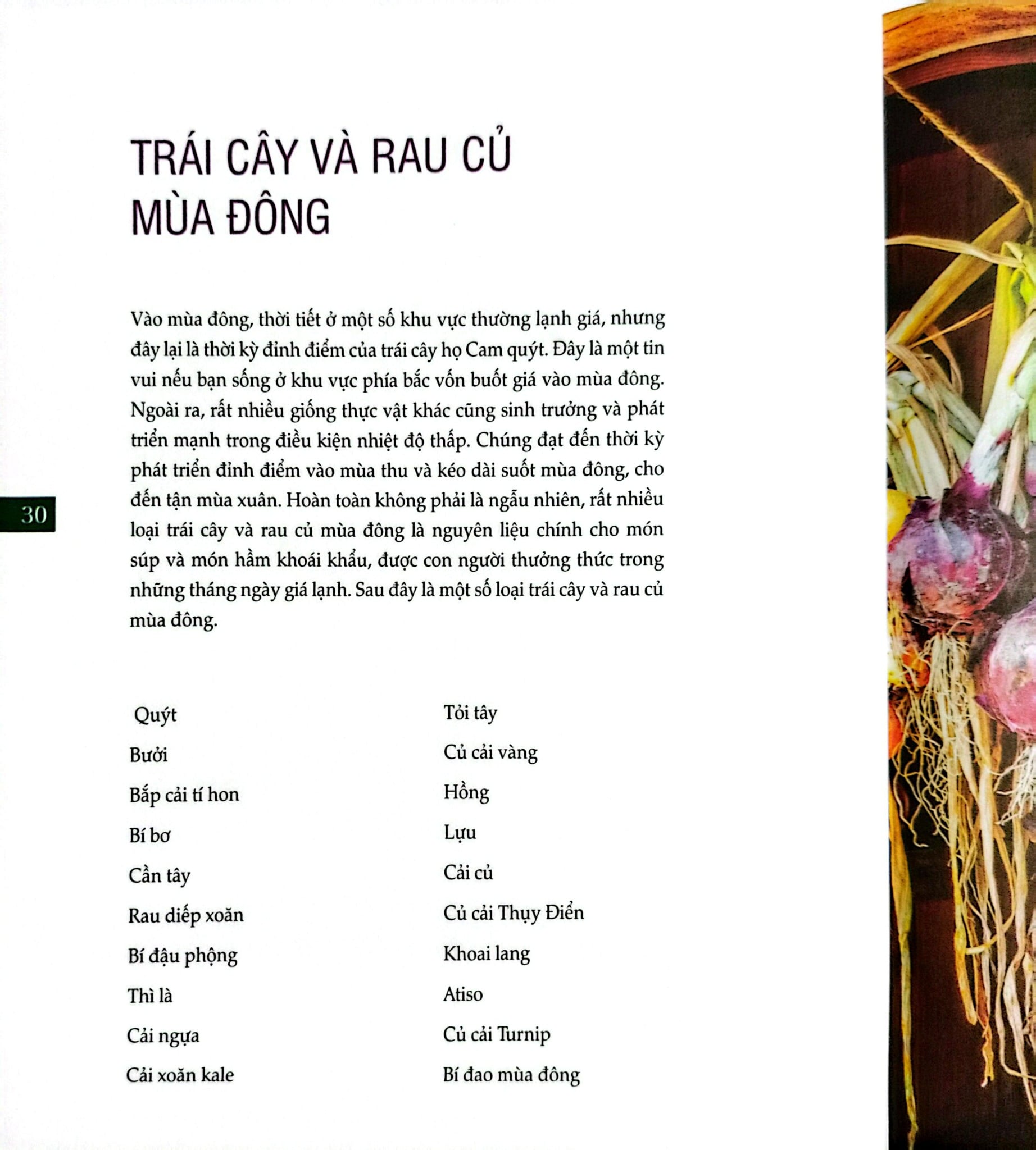 Bách Khoa Về Trái Cây Và Rau Củ (Sách In Màu; Bìa Cứng) - Nhiều Tác Giả