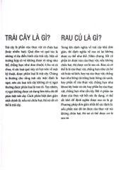 Bách Khoa Về Trái Cây Và Rau Củ (Sách In Màu; Bìa Cứng) - Nhiều Tác Giả