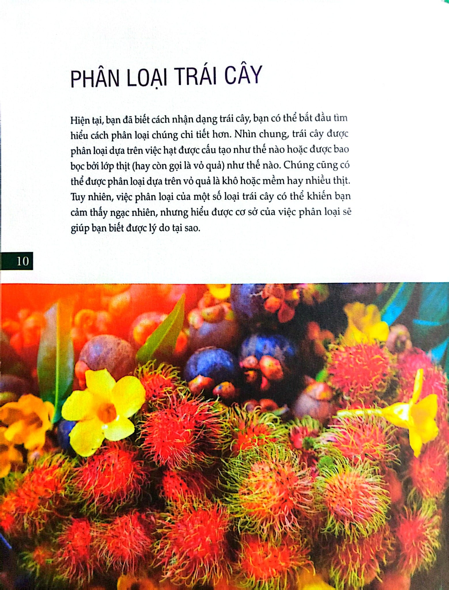 Bách Khoa Về Trái Cây Và Rau Củ (Sách In Màu; Bìa Cứng) - Nhiều Tác Giả