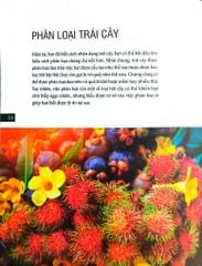 Bách Khoa Về Trái Cây Và Rau Củ (Sách In Màu; Bìa Cứng) - Nhiều Tác Giả