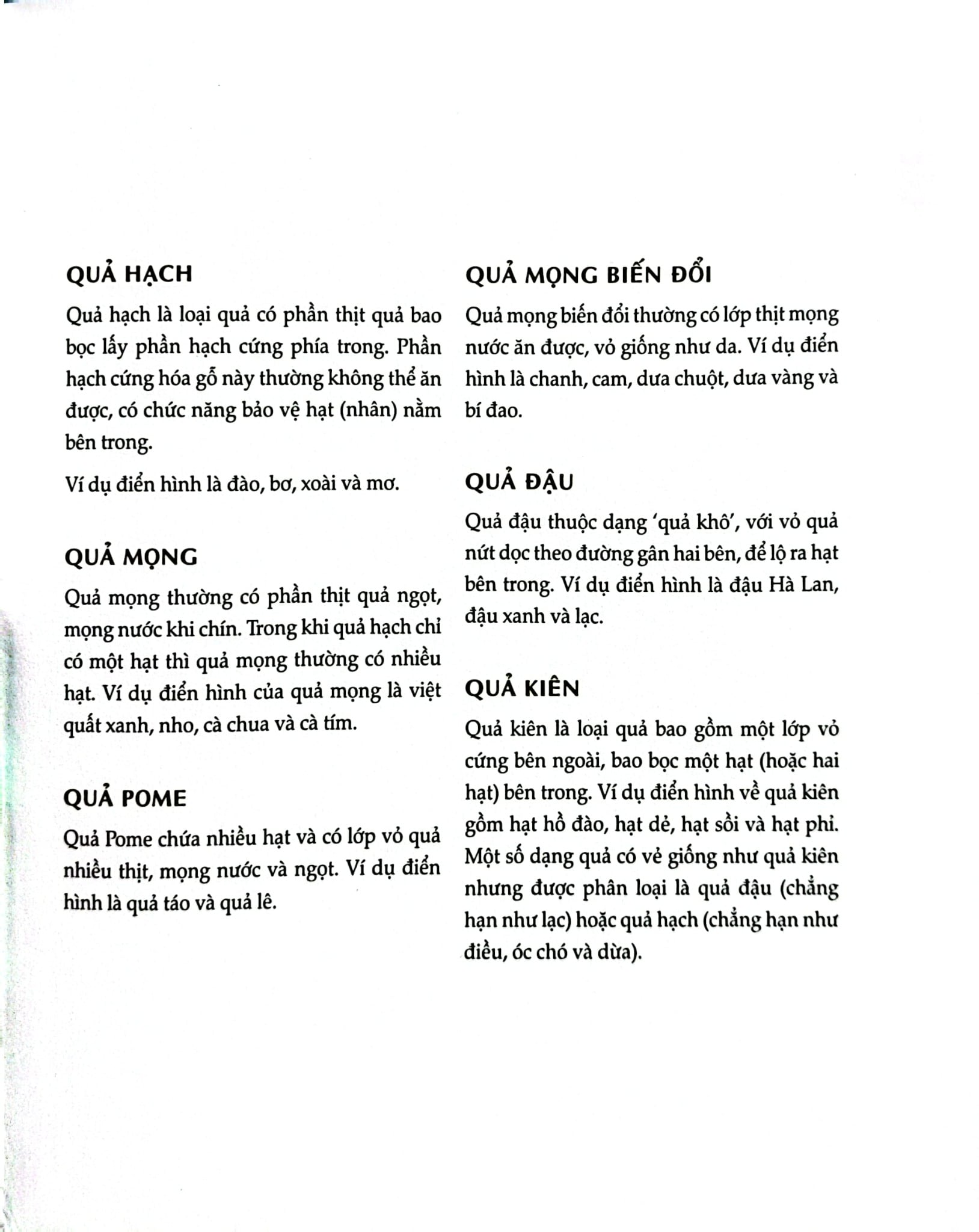 Bách Khoa Về Trái Cây Và Rau Củ (Sách In Màu; Bìa Cứng) - Nhiều Tác Giả