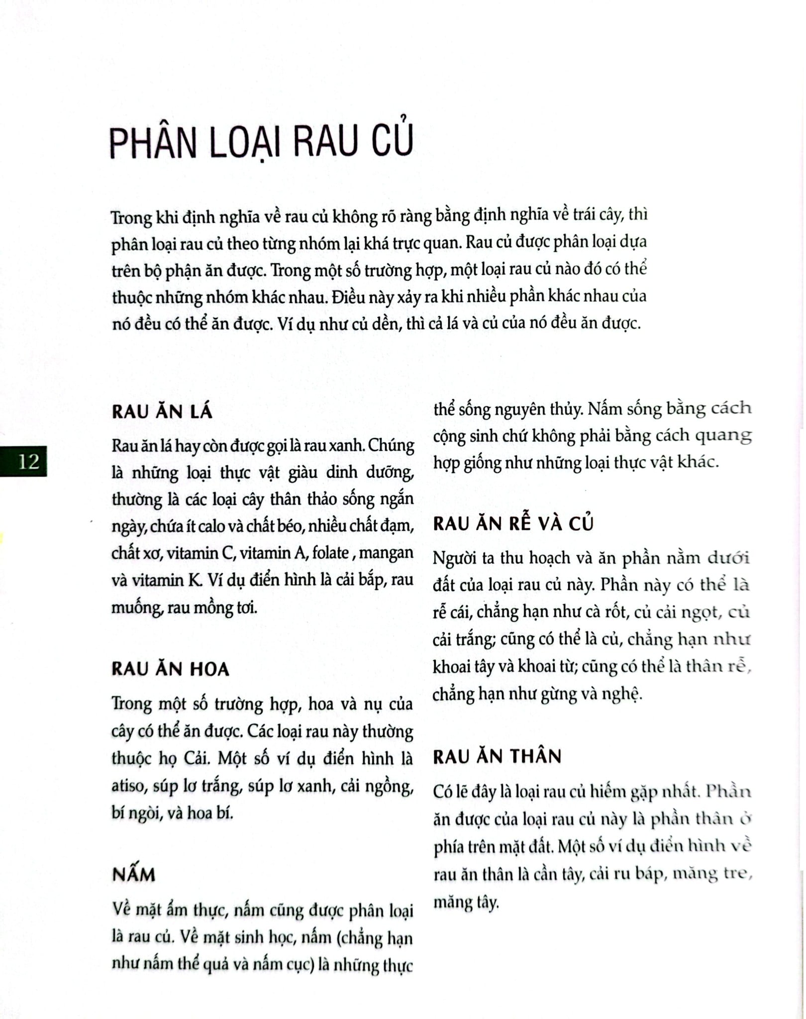 Bách Khoa Về Trái Cây Và Rau Củ (Sách In Màu; Bìa Cứng) - Nhiều Tác Giả