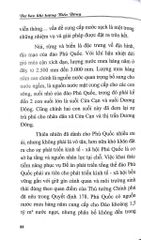 Dự Báo Khí Tượng Biển Đông - Văn hóa