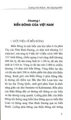 Dự Báo Khí Tượng Biển Đông - Văn hóa
