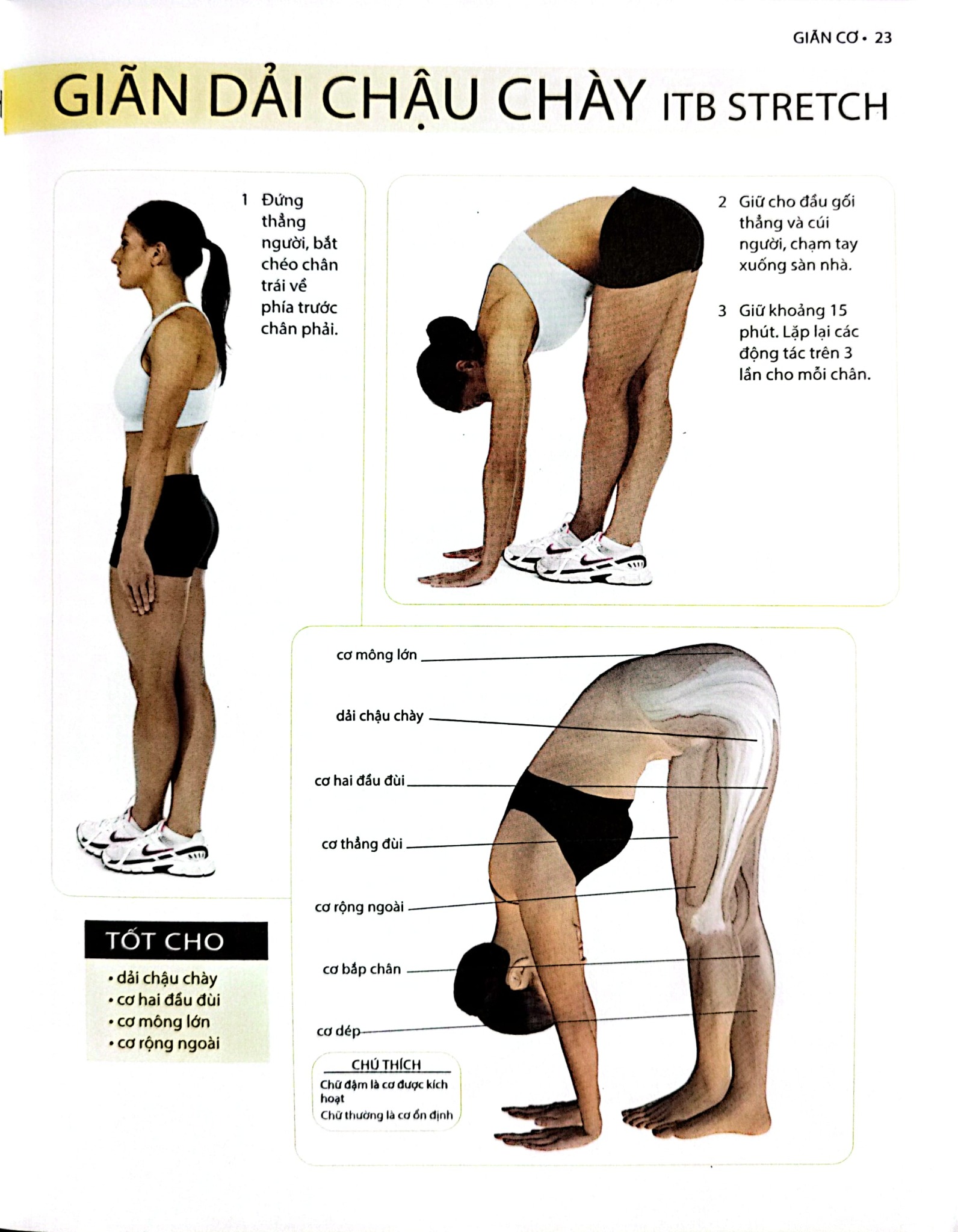 Khỏe, Đẹp Với Các Bài Tập Cơ Bản (Sách Ảnh; In Màu) - Dr. Abigail Ellsworth
