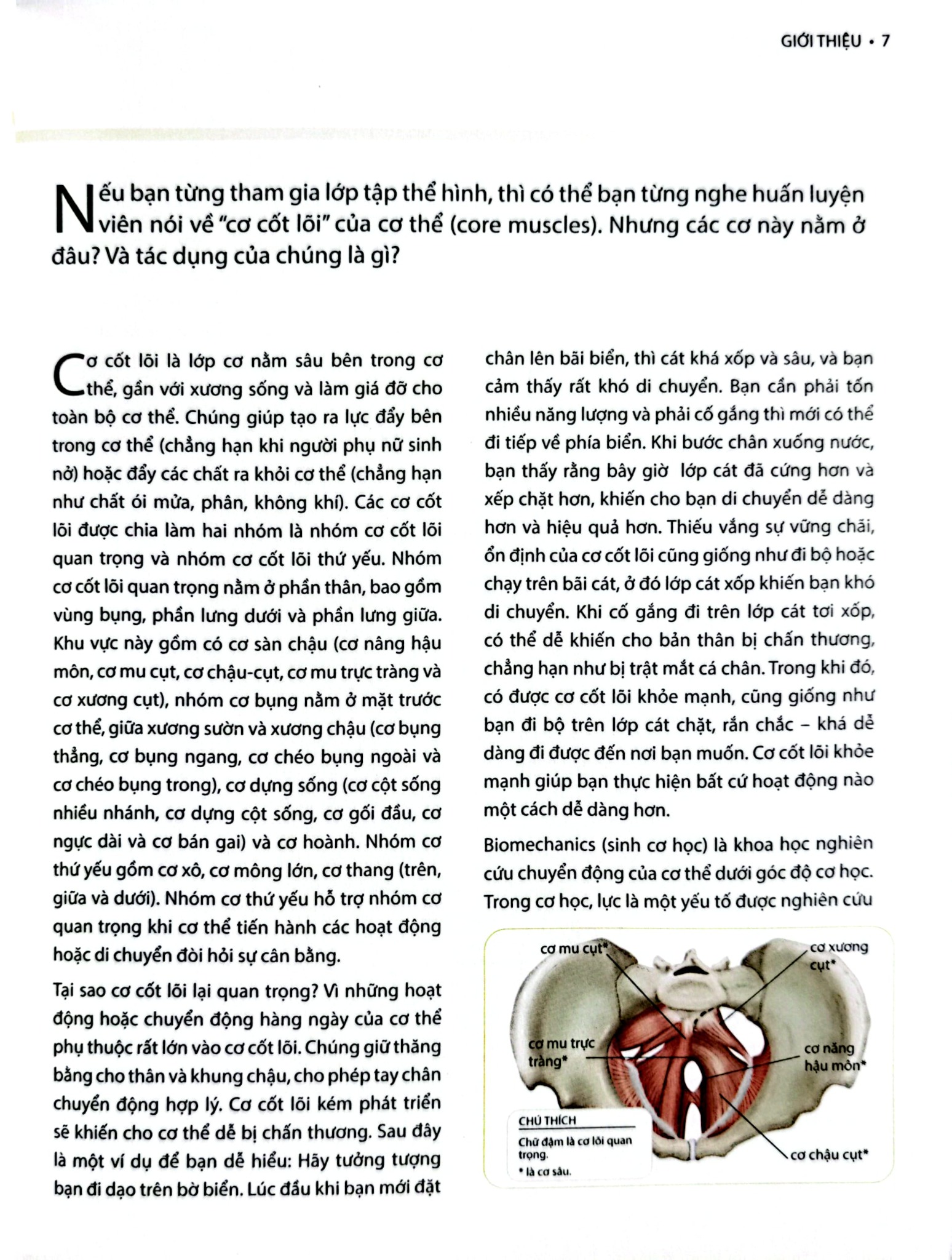 Khỏe, Đẹp Với Các Bài Tập Cơ Bản (Sách Ảnh; In Màu) - Dr. Abigail Ellsworth