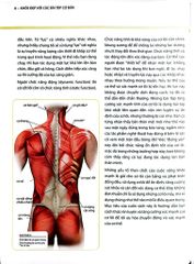 Khỏe, Đẹp Với Các Bài Tập Cơ Bản (Sách Ảnh; In Màu) - Dr. Abigail Ellsworth