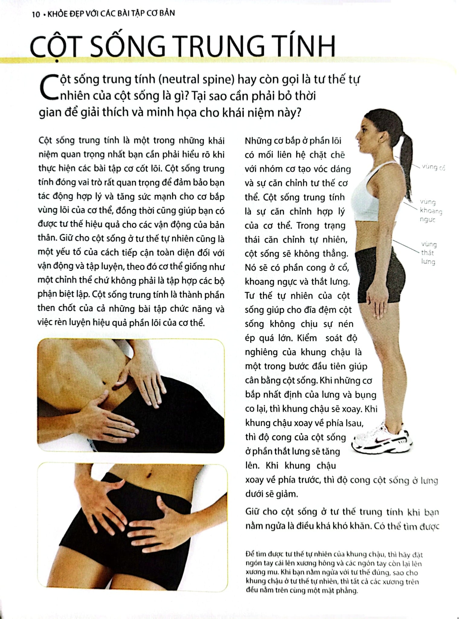 Khỏe, Đẹp Với Các Bài Tập Cơ Bản (Sách Ảnh; In Màu) - Dr. Abigail Ellsworth