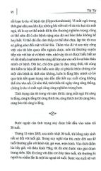 Giảm Cân Hiệu Quả Bằng Tâm Lý - Từ Từ