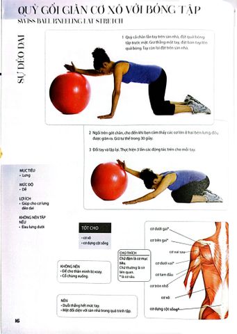  Combo 2 Cuốn 501 Bài Tập Giảm Cân Và Giữ Dáng + 70 Bài Tập Phát Triển, Cải Thiện Vóc Dáng, Tăng Sự Dẻo Dai 